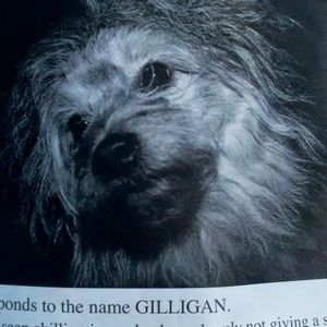 Meet your Posher, Connie